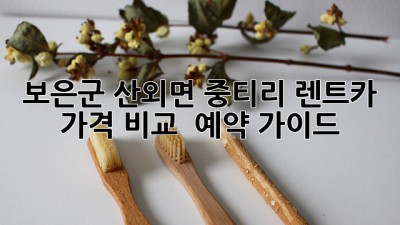 보은군 산외면 중티리 렌트카 가격 비교 & 예약 가이드