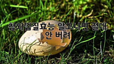 참외껍질효능 알고나면 절대 안 버려! 🤩