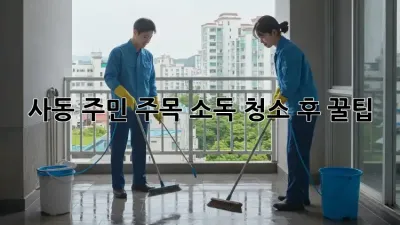 ✨ 사동 주민 주목! 소독 청소 후 꿀팁🍯