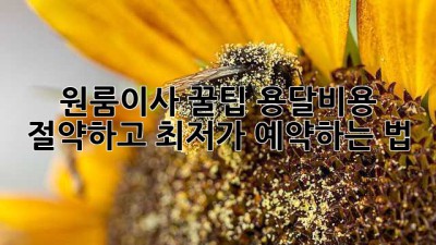 원룸이사 꿀팁🍯: 용달비용 절약하고 최저가 예약하는 법!
